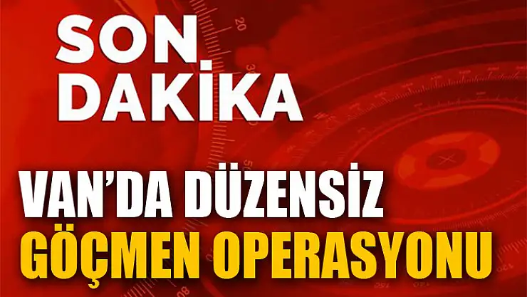 Van'da düzensiz göçmen operasyonu