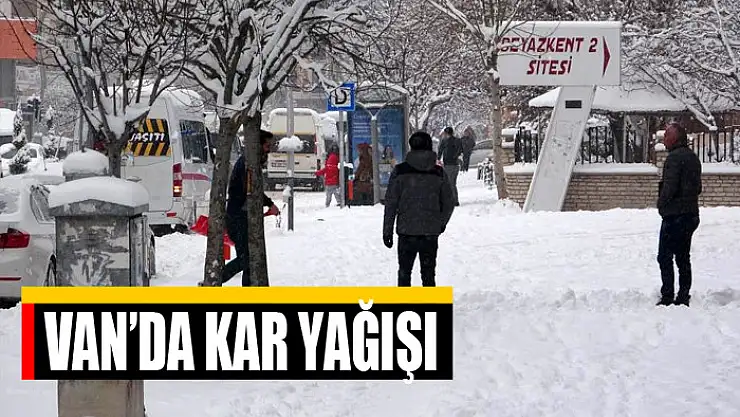 Van'da kar yağışı
