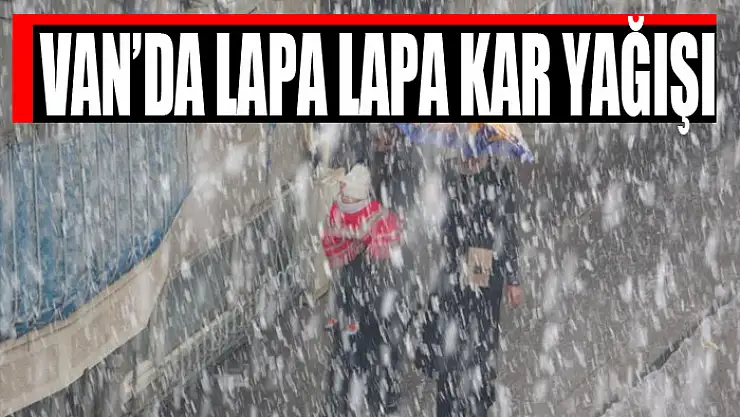 Van'da lapa lapa kar yağışı