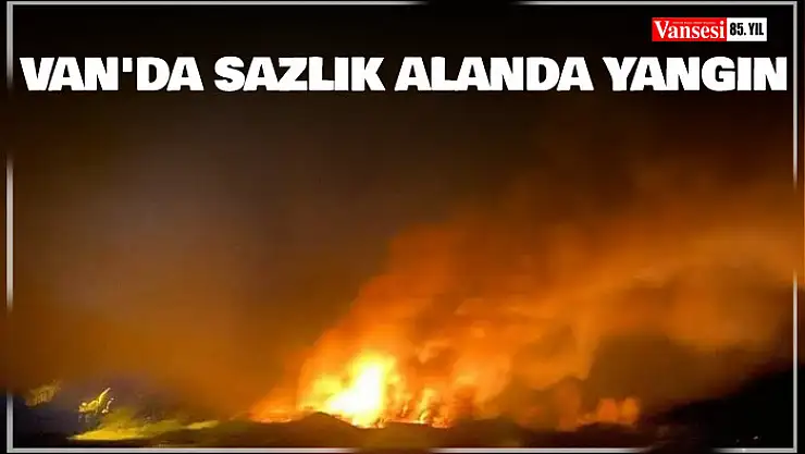 Van'da sazlık alanda yangın
