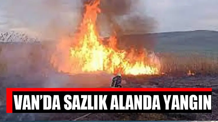 Van'da sazlık alanda yangın