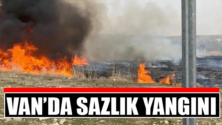 Van'da sazlık yangını
