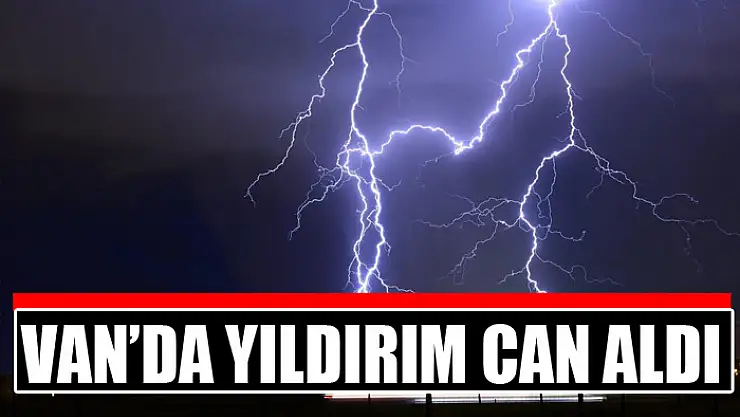 Van'da yıldırım can aldı