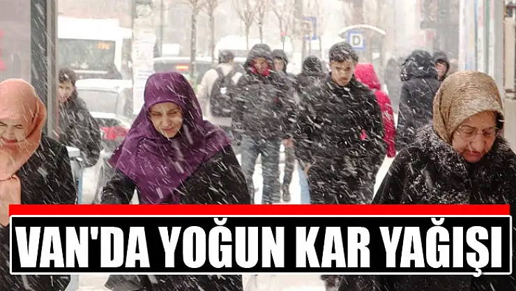 Van'da yoğun kar yağışı
