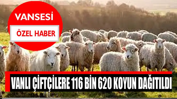 Vanlı çiftçilere 116 bin 620 koyun dağıtıldı