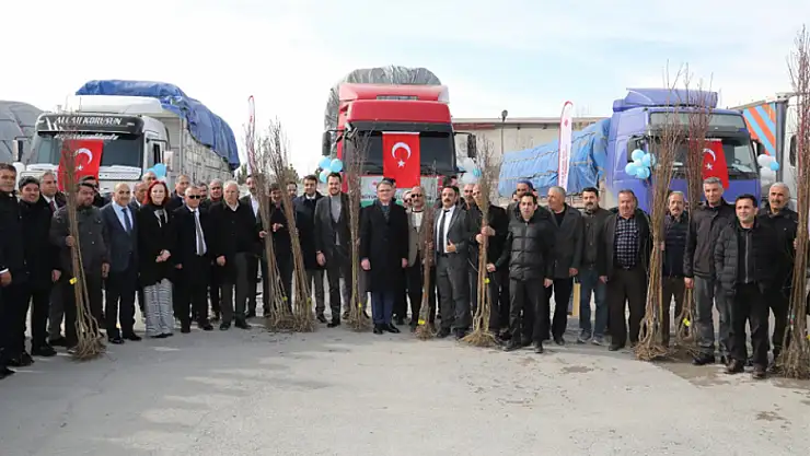 Vanlı çiftçilere 350 bin meyve fidanı dağıtıldı