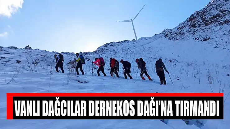 Vanlı dağcılar Dernekos Dağı'na tırmandı