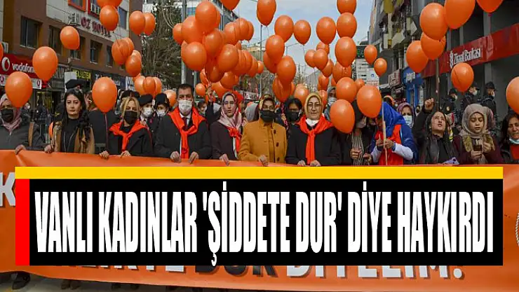 VANLI KADINLAR 'ŞİDDETE DUR' DİYE HAYKIRDI