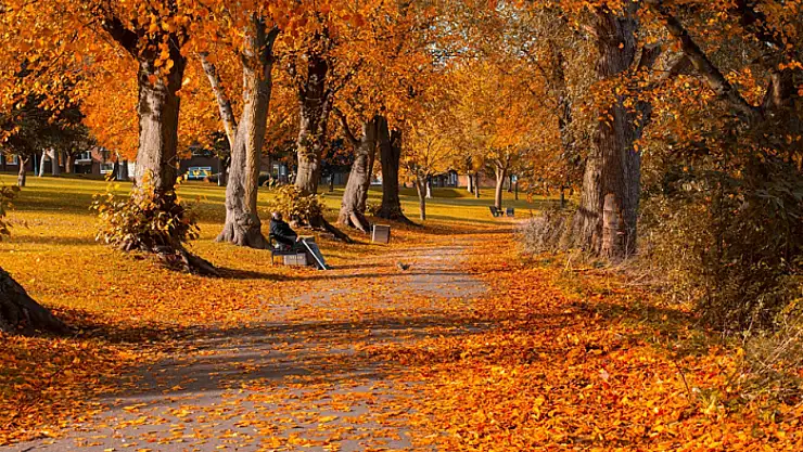 Vanlılar sonbaharın tadına varacak
