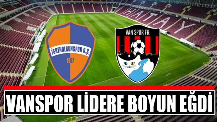 Vanspor,  lider İskenderunspor'a boyun eğdi