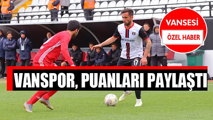 Vanspor, puanları paylaştı