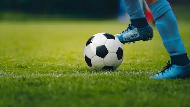Vanspor'un grubundaki takımlar PFDK'ya sevk edildi