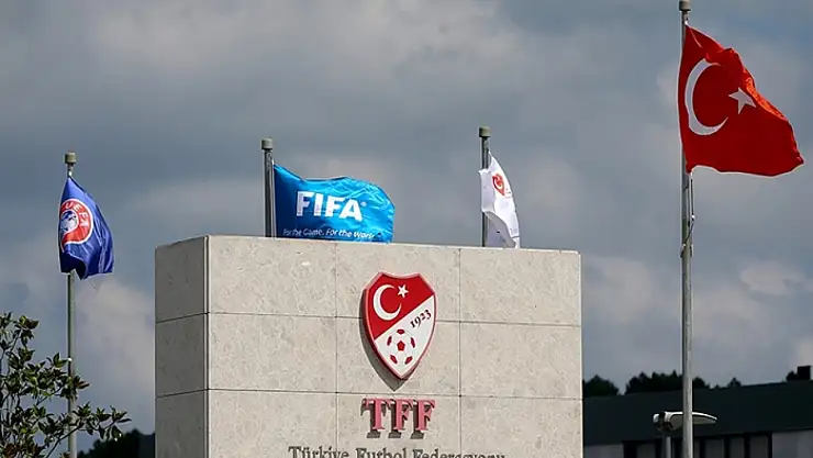 Vanspor'un grubundaki takımlar PFDK'ya sevk edildi