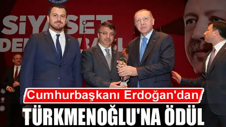 Cumhurbaşkanı Erdoğan'dan Türkmenoğlu'na Ödül