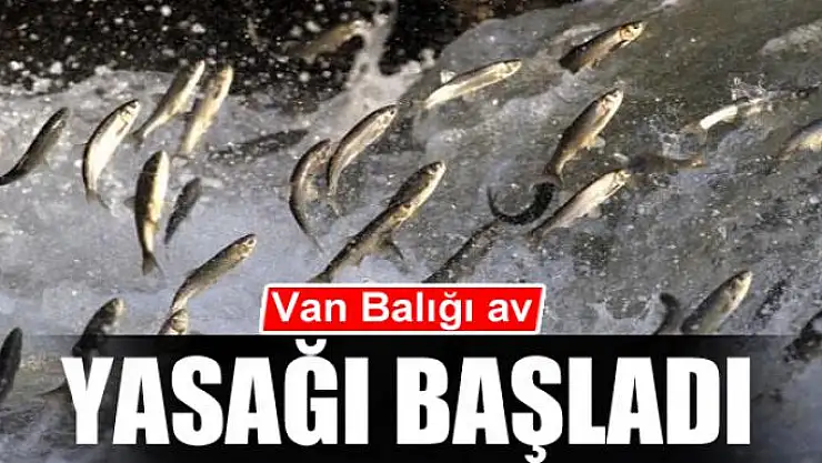 Van Balığı av yasağı başladı