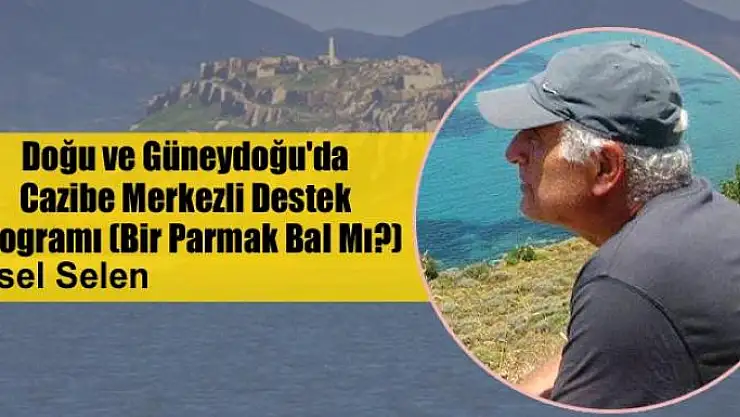 Doğu ve Güneydoğu'da Cazibe Merkezli Destek Programı (Bir Parmak Bal Mı?)