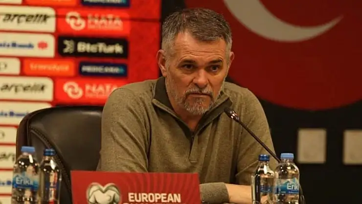 Willy Sagnol: Türkiye güçlü bir takım
