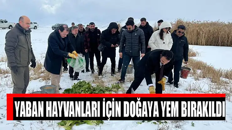 Yaban hayvanları için doğaya yem bırakıldı