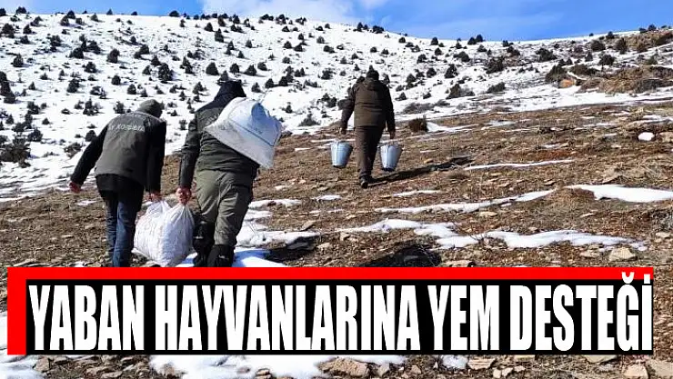 Yaban hayvanlarına yem desteği