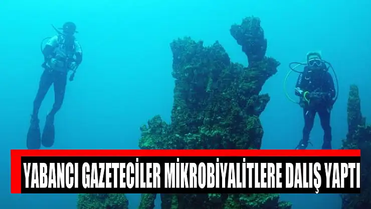 Yabancı gazeteciler mikrobiyalitlere dalış yaptı