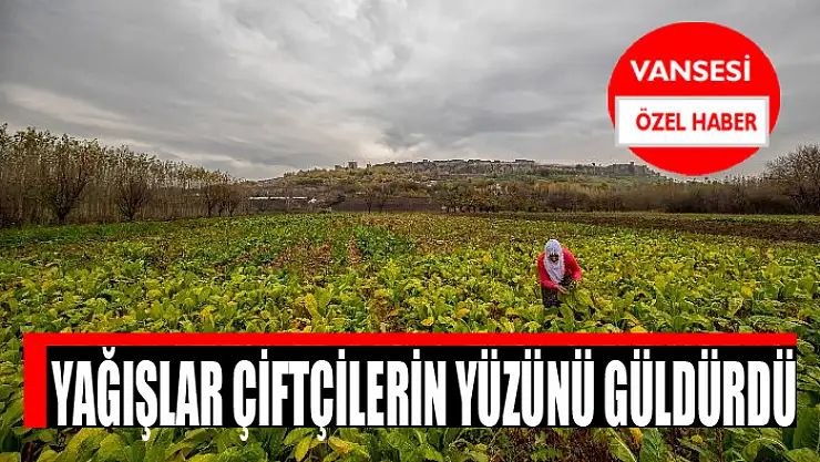 Yağışlar çiftçilerin yüzünü güldürdü