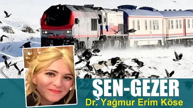 Şen-Gezer