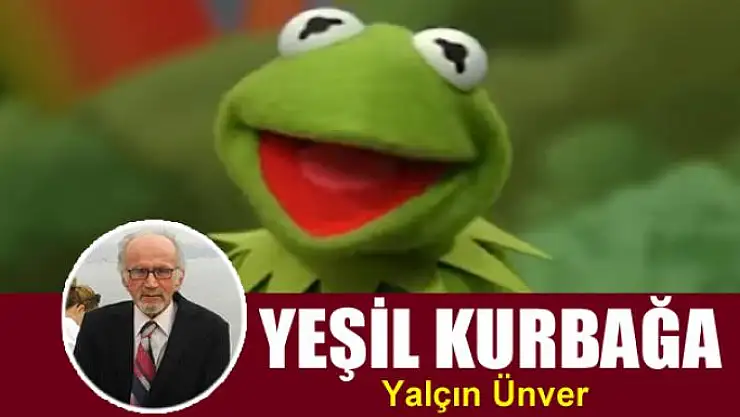 Yeşil Kurbağa 