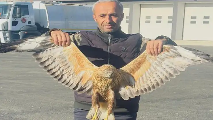Yaralı baykuşu tedavi altına alındı