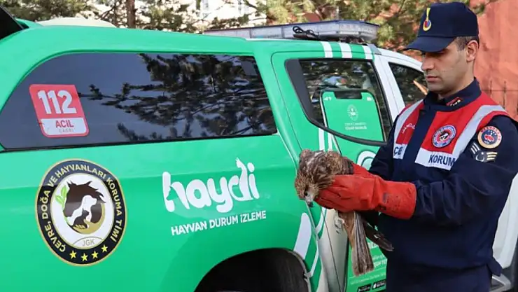 Yaralı halde bulundu!