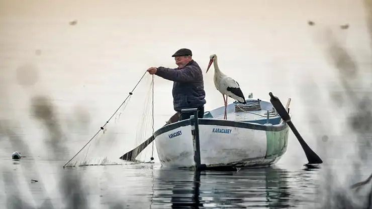 Yılın Basın Fotoğrafları yarışmasında sonuçlar açıklandı