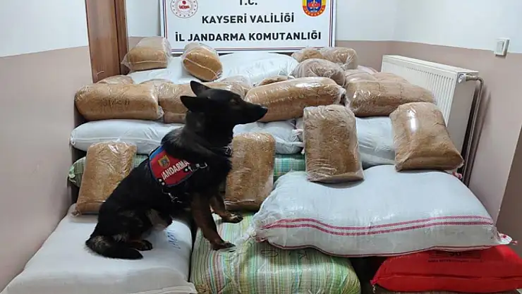 Yolcu otobüsünde 1 buçuk ton kaçak tütün yakalandı