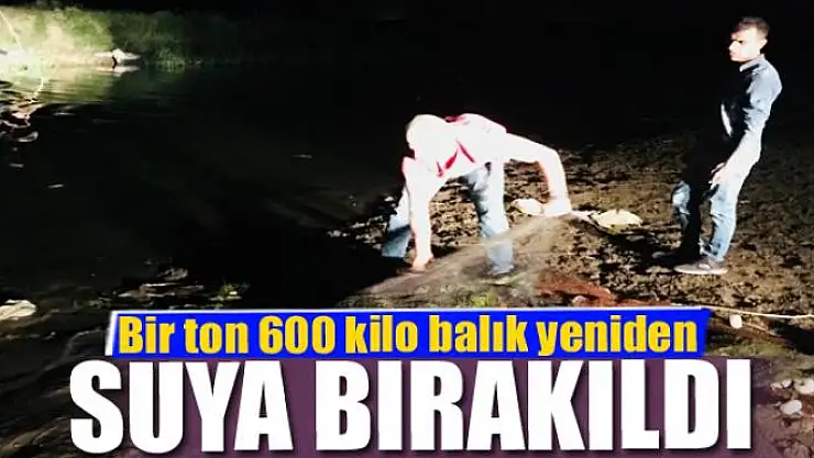Kaçak avlanan balıklar yeniden suya bırakıldı 
