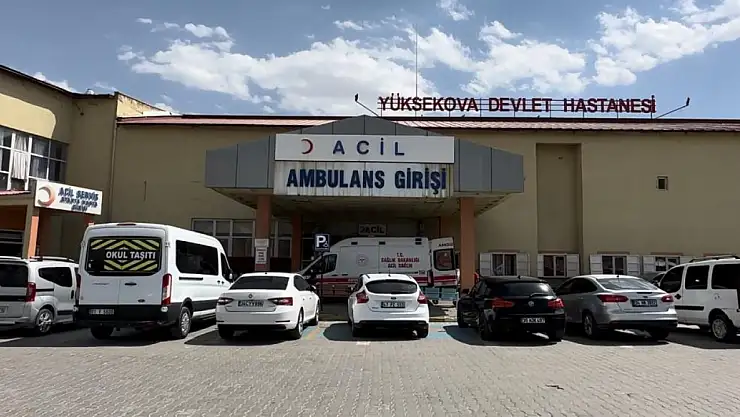 Yüksekova'da korkunç olay: Silahla vurulmuş halde 2 ceset bulundu