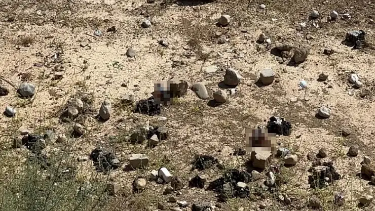 Yüksekova'da mezarlık yanına bırakılan bira şişeleri tepki topladı