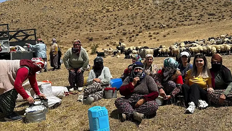 Yüksekova'da süt hijyeni eğitimi sürüyor