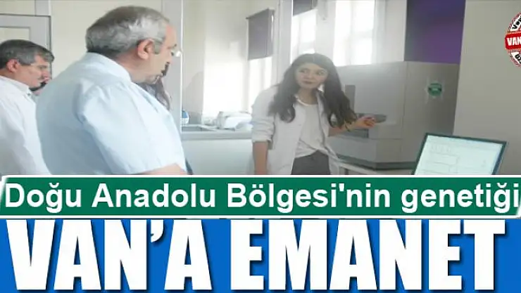 Doğu Anadolu Bölgesi'nin genetiği Van'a emanet 