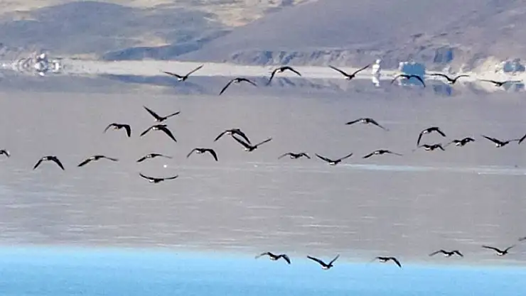 Zorlu göçün durağı Erçek Gölü