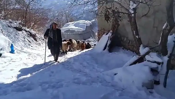 Zorlu kış mesaisi başladı