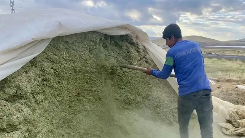 Ağrı'da besiciler kış hazırlıklarına başladı