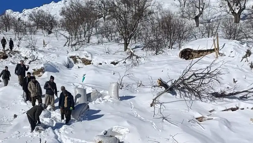 Ahırların üzerine çığ düştü