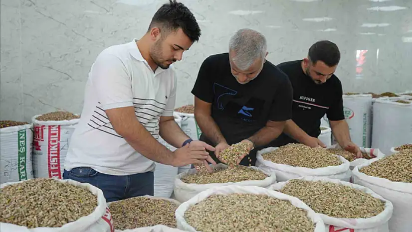 Antep fıstığına ithalat izni çıkıcınca fiyatlar ve satışlar düştü