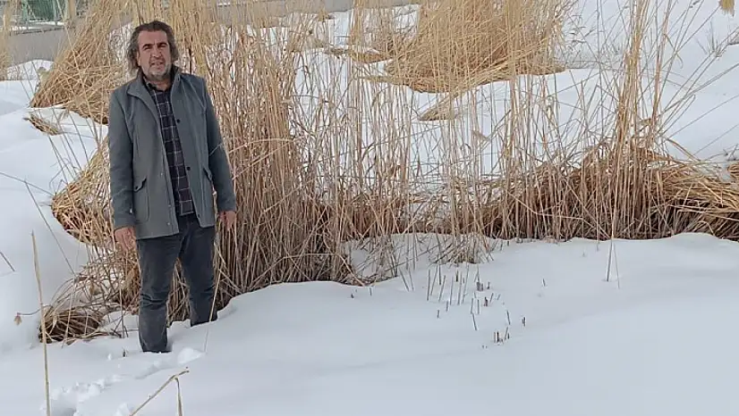 Aslan'dan sulak alanlar için hayati uyarı