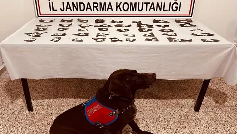 Başkale'de 171 gram bonzai ele geçirildi