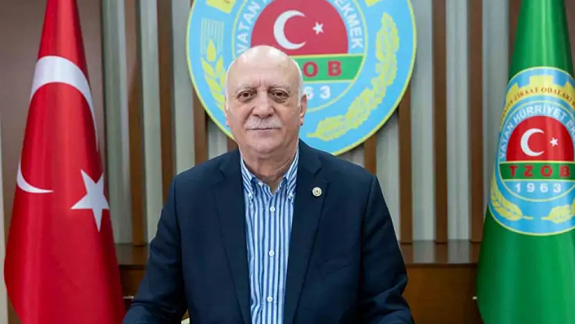 Bayraktar: Markette fiyatı en fazla artan ürün yüzde 65,1 ile marul oldu