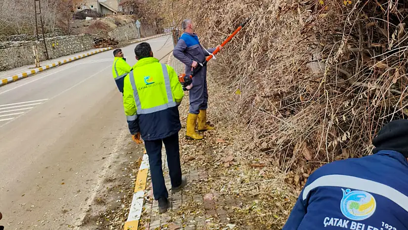 Çatak'ta kaldırımları kapatan çalılar temizlendi