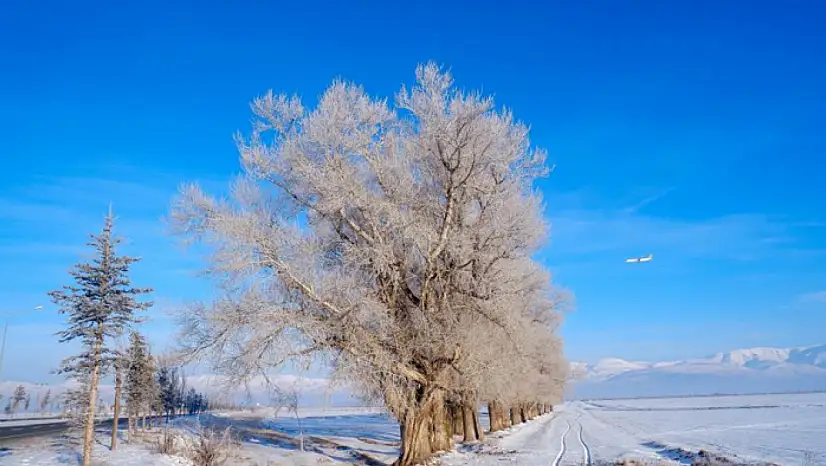 Doğu yine buz kesti