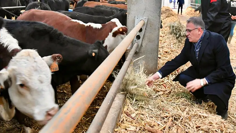 Düve Üretim Merkezi hayvancılığa büyük katkı sağlayacak