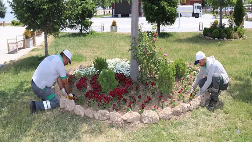 Edremit rengarenk çiçeklerle donatılacak