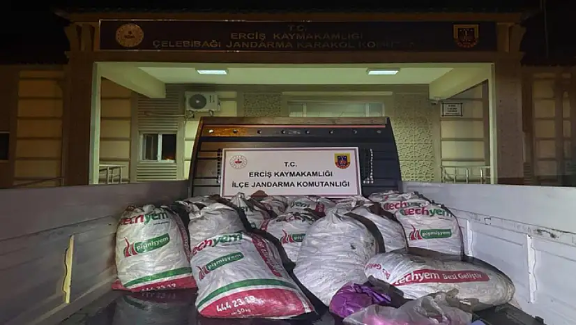 Erciş'te 2 ton kaçak avlanmış balık ele geçirildi