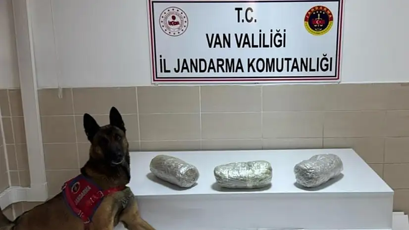 Gevaş'ta esrar ele geçirildi